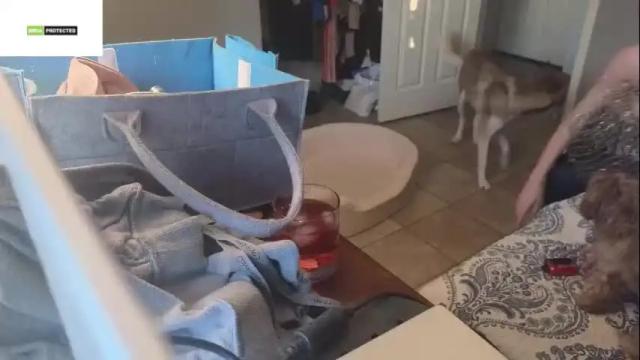 Image 8 of sexykittikat Stream on Chaturbate on 3 months ago