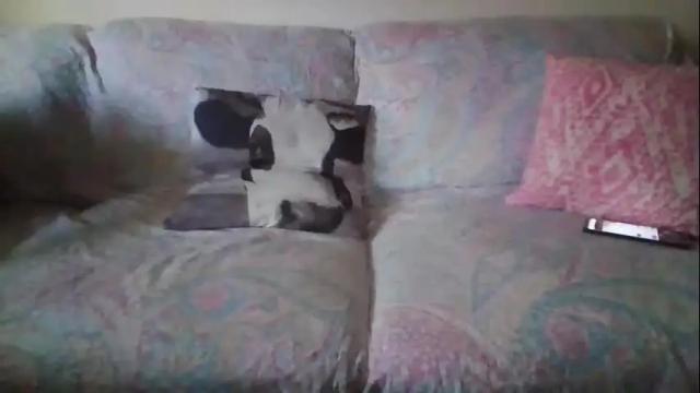 Image 12 of sexymisss24 Stream on Chaturbate on 1 month ago