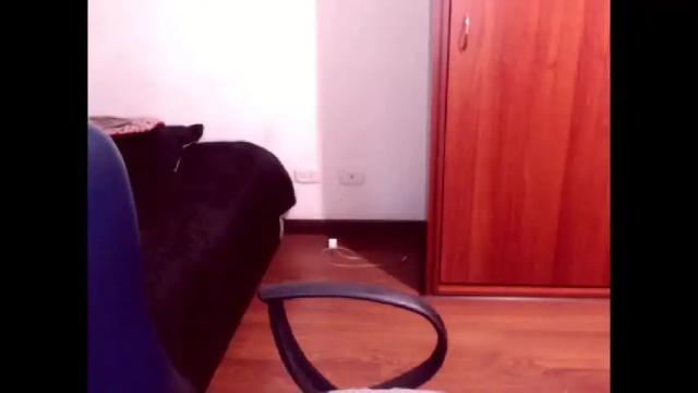 Image 7 of sexymone0618 Stream on Chaturbate on 16 months ago