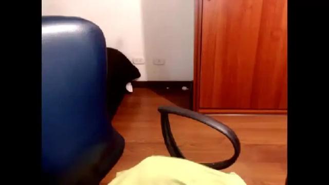 Image 12 of sexymone0618 Stream on Chaturbate on 14 months ago