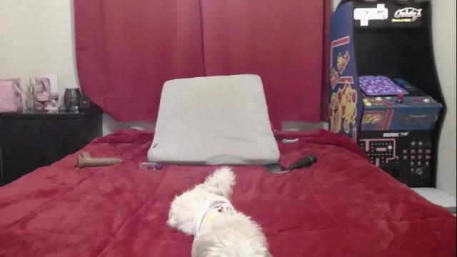 Image 12 of sexystephanie25 Stream on Chaturbate on 1 month ago