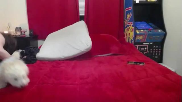 Image 2 of sexystephanie25 Stream on Chaturbate on 1 month ago