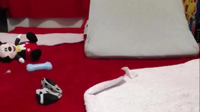 Image 7 of sexystephanie25 Stream on Chaturbate on 6 days ago