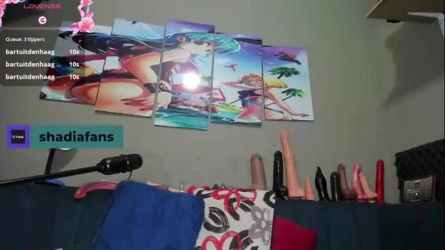 Image 3 of shadia_squirt Stream on Chaturbate on 10 days ago