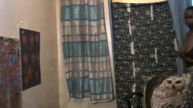 Image 11 of shany693 Stream on Chaturbate on 14 months ago