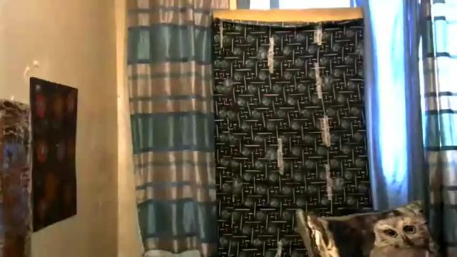 Image 6 of shany693 Stream on Chaturbate on 14 months ago