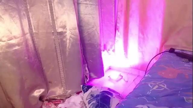 Image 2 of sheeylaroee Stream on Chaturbate on 1 month ago