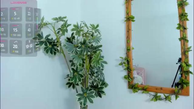 Image 7 of shegoblake Stream on Chaturbate on 1 month ago