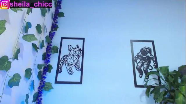 Image 2 of sheila_bigcok Stream on Chaturbate on 1 month ago
