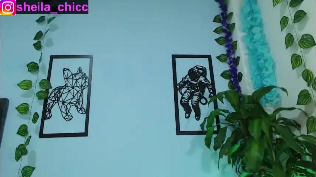 Image 2 of sheila_bigcok Stream on Chaturbate on 3 days ago