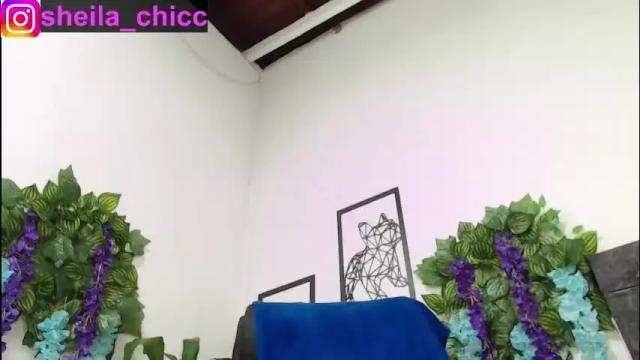 Image 2 of sheila_bigcok Stream on Chaturbate on 1 month ago