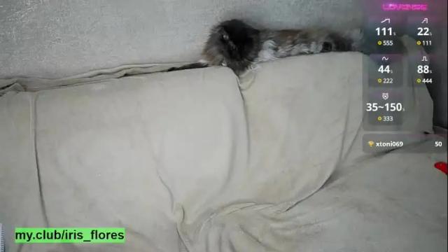 Image 4 of sherrylime Stream on Chaturbate on 20 days ago