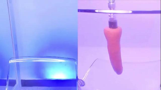 Image 3 of shiinobu_kocho Stream on Chaturbate on 13 days ago