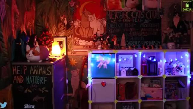 Image 2 of shirayuki_hime Stream on Chaturbate on 17 months ago