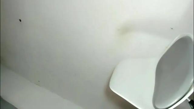 Image 11 of shivani_ooohhlala Stream on Chaturbate on 2 days ago