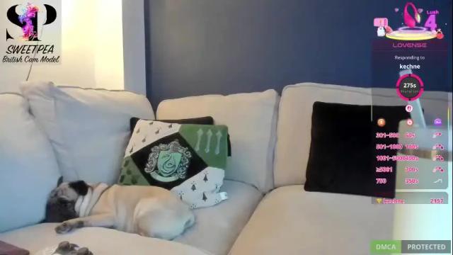 Thumbnail 3, short_sweetpea's Stream at Chaturbate, 9 days ago