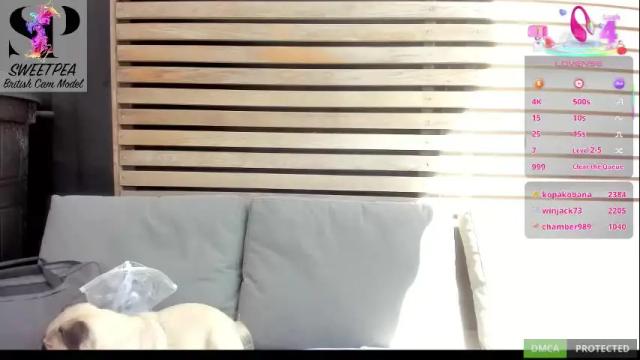 Image 3 of short_sweetpea Stream on Chaturbate on 1 month ago