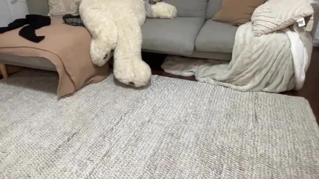 Image 4 of shysashy Stream on Chaturbate on 4 months ago