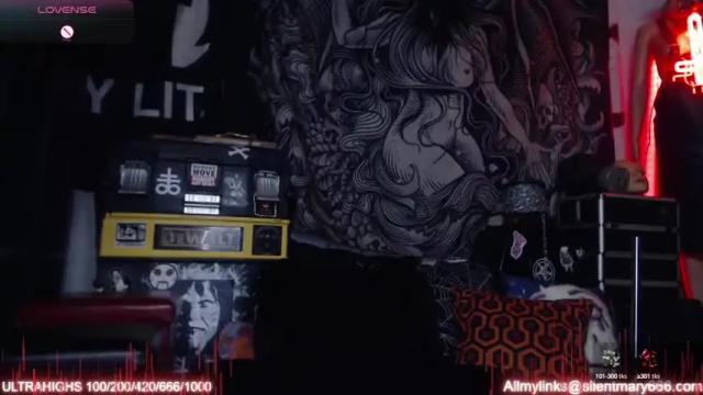 Image 12 of silentmary Stream on Chaturbate on 1 month ago