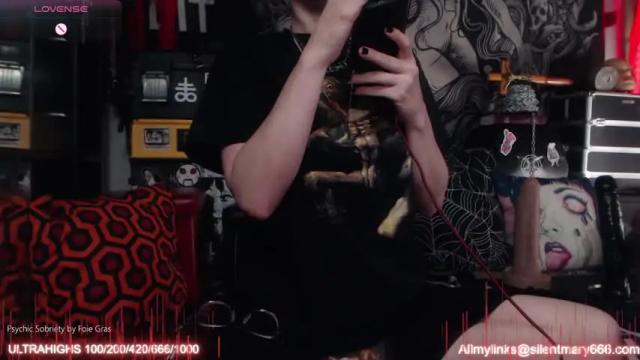 Image 3 of silentmary Stream on Chaturbate on 1 day ago