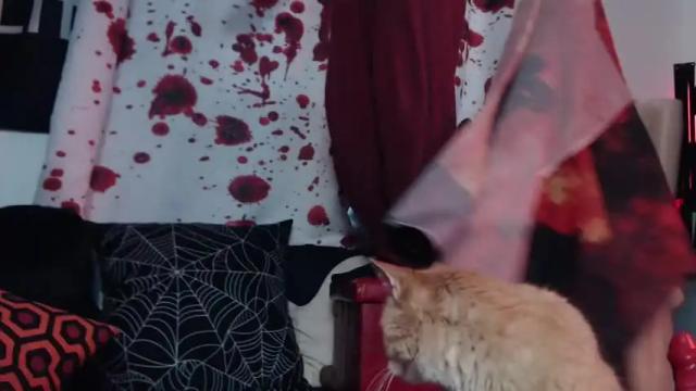 Image 4 of silentmary Stream on Chaturbate on 1 month ago