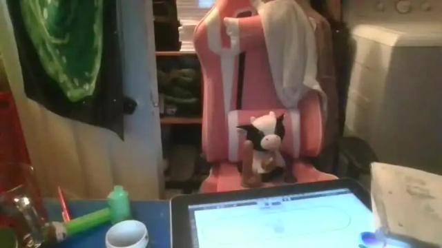 Image 12 of sillycutecow Stream on Chaturbate on 16 months ago
