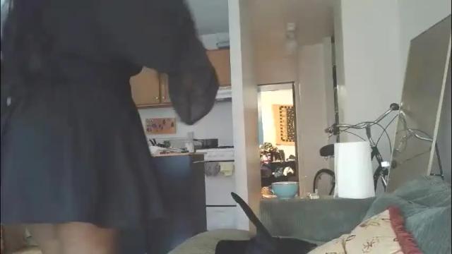 Image 2 of siminfox Stream on Chaturbate on 3 days ago