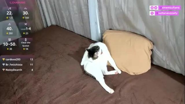 Thumbnail 3, sinemsultana's Stream at Chaturbate, 1 month ago