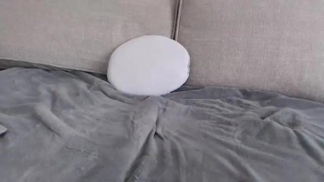 Image 12 of single_fox_4u Stream on Chaturbate on 9 days ago