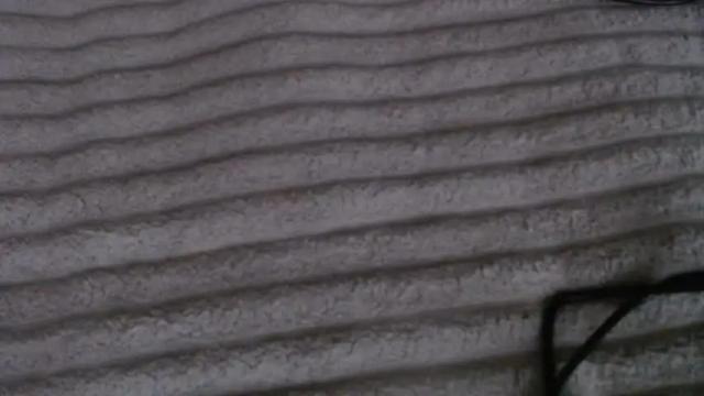 Image 10 of single_fox_4u Stream on Chaturbate on 1 month ago