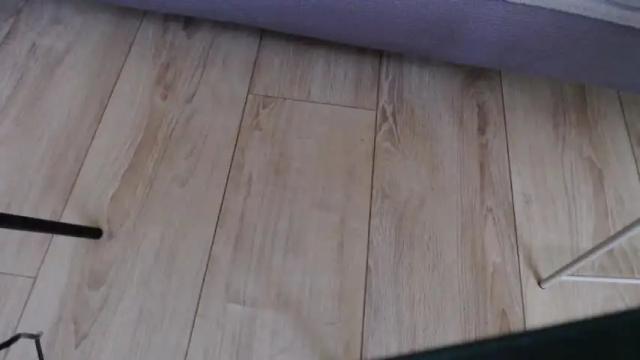 Image 4 of single_fox_4u Stream on Chaturbate on 1 month ago