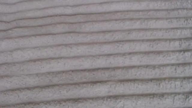 Image 7 of single_fox_4u Stream on Chaturbate on 26 days ago