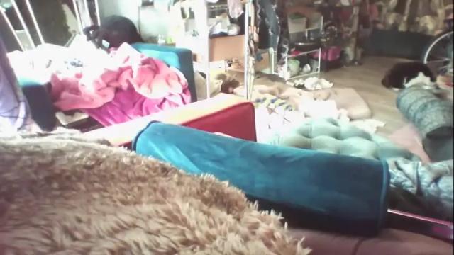 Image 11 of siofra Stream on Chaturbate on 1 month ago