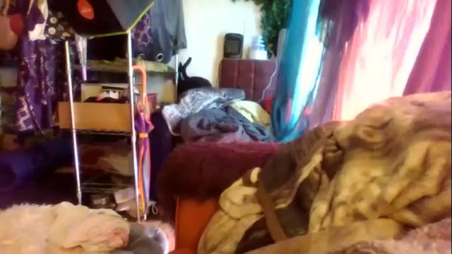 Thumbnail 1, siofra's Stream at Chaturbate, 1 month ago