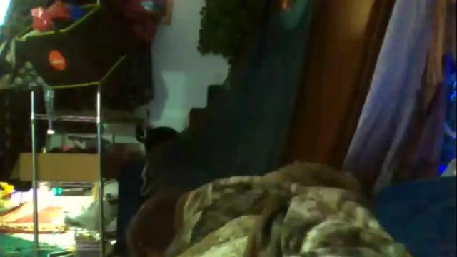 Thumbnail 1, siofra's Stream at Chaturbate, 1 month ago