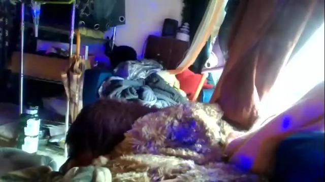 Image 2 of siofra Stream on Chaturbate on 1 month ago