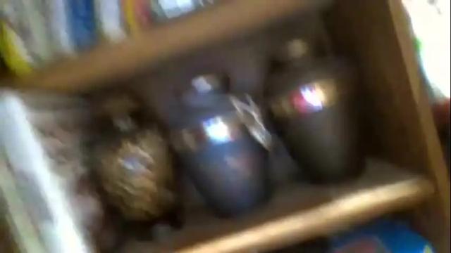 Image 8 of siofra Stream on Chaturbate on 1 month ago