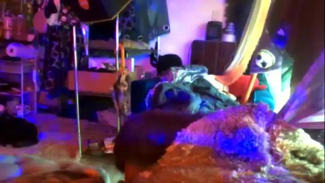 Image 10 of siofra Stream on Chaturbate on 29 days ago