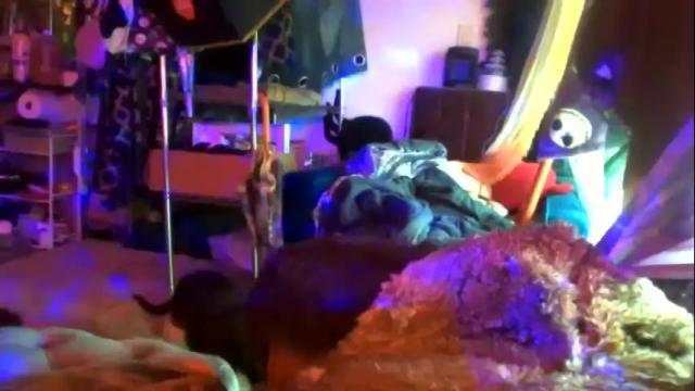 Image 6 of siofra Stream on Chaturbate on 29 days ago
