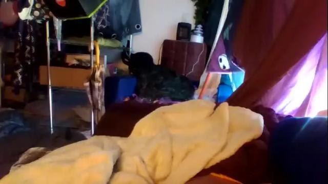 Image 3 of siofra Stream on Chaturbate on 23 days ago