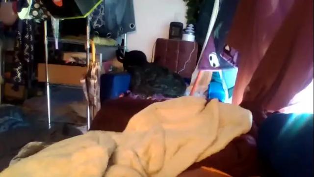Image 4 of siofra Stream on Chaturbate on 23 days ago