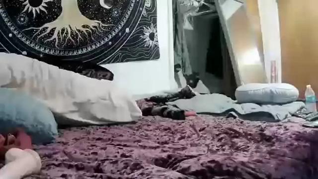 Thumbnail 2, sissyboibaylee1's Stream at Chaturbate, 17 months ago