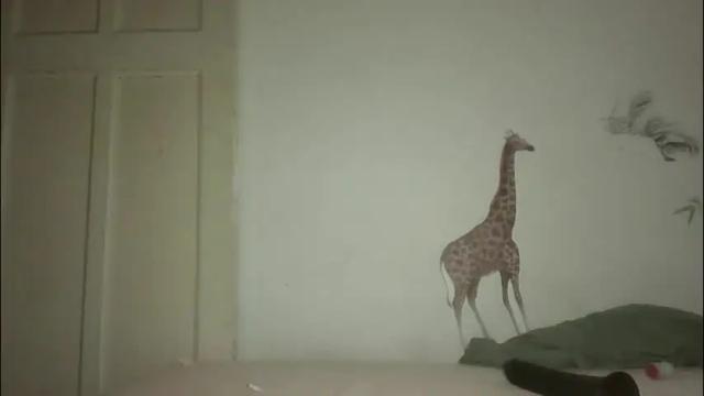 Image 7 of sissyslut22jr Stream on Chaturbate on 2 months ago