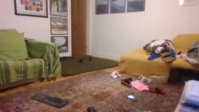 Image 10 of sissyslut951409 Stream on Chaturbate on 15 months ago