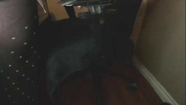 Image 4 of sissyslutamy420 Stream on Chaturbate on 1 month ago