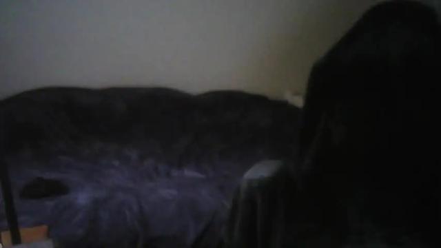 Image 6 of sissysofialuv Stream on Chaturbate on 20 months ago