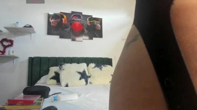 Thumbnail 3, skinfire_'s Stream at Chaturbate, 17 months ago