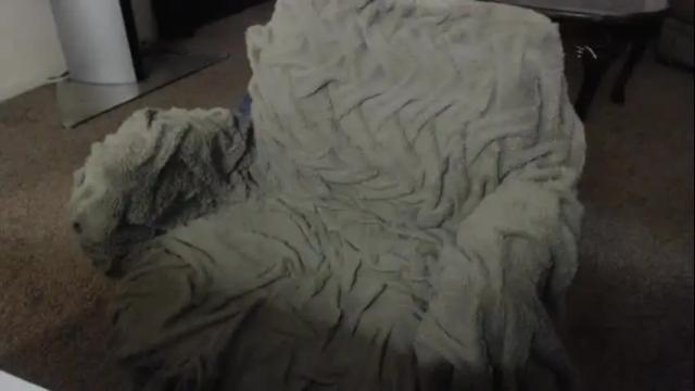 Image 10 of skyblu1 Stream on Chaturbate on 4 days ago