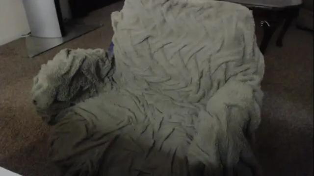 Thumbnail 3, skyblu1's Stream at Chaturbate, 3 days ago