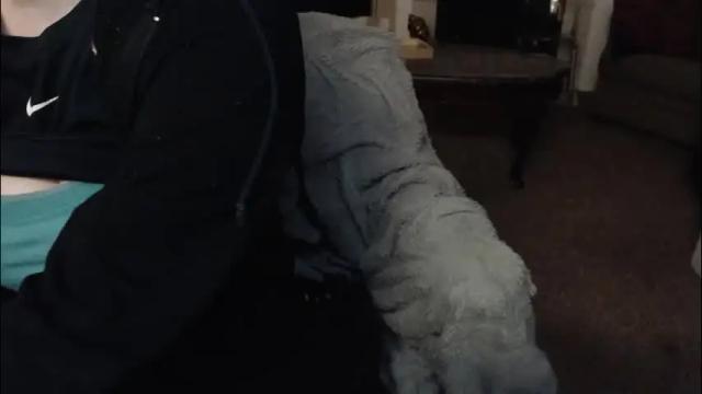 Image 11 of skyblu1 Stream on Chaturbate on 21 days ago